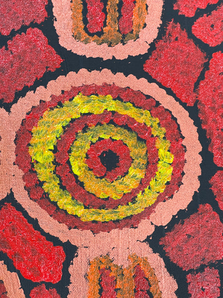 #96 Women's Ceremony (Red) - Chakayah Sultan: Aboriginal Art - 66x92cm