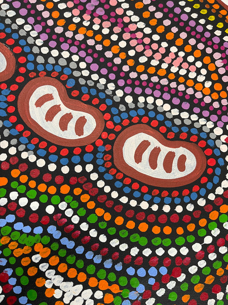 #318 Wallaby Tracks My Country Dreaming (Multi) - Pacinta Turner: 95x124cm