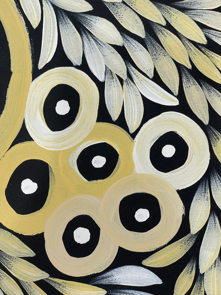 #184 My Country (Yellow/White) - JACINTA NUMINA : Aboriginal Art: 87x137cm