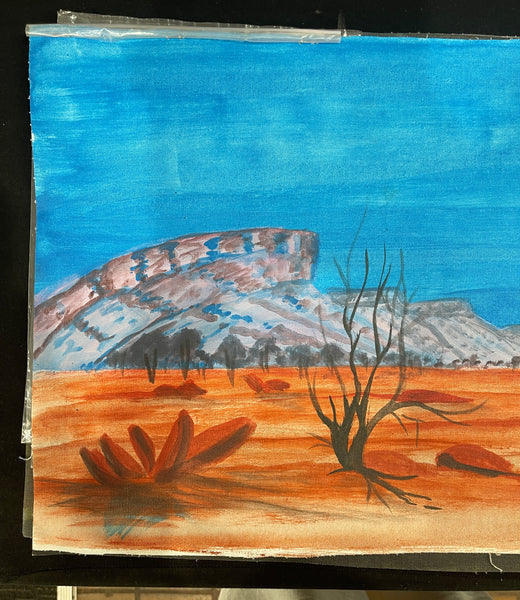 #33 Outback Landscapes - REX SULTAN JABANGARDI: ABORIGINAL ART: 39x102cm