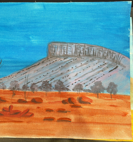 #33 Outback Landscapes - REX SULTAN JABANGARDI: ABORIGINAL ART: 39x102cm