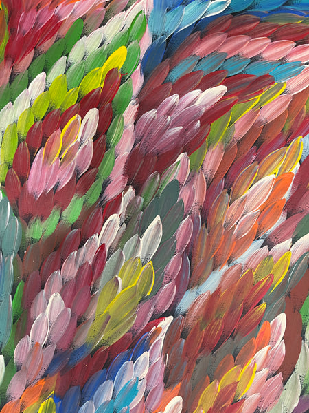 #167 Bush Medicine Leaves (Multi) - CAROLINE NUMINA : Aboriginal Art: 95x160cm