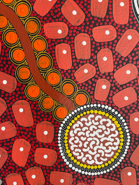 #187 ALIARA BIRD "After the Rain" (Reds) : Aboriginal Art: 74x95cm
