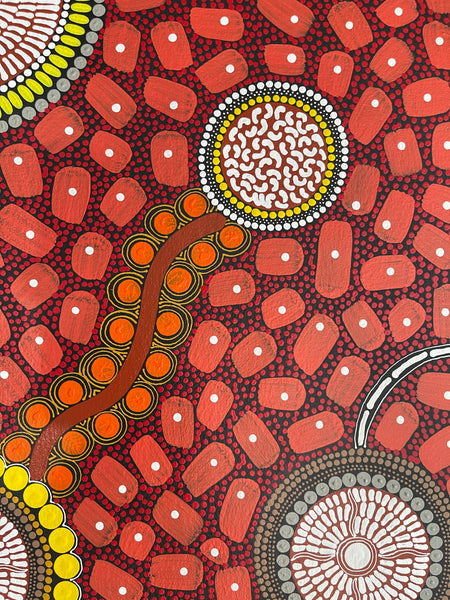 #187 ALIARA BIRD "After the Rain" (Reds) : Aboriginal Art: 74x95cm