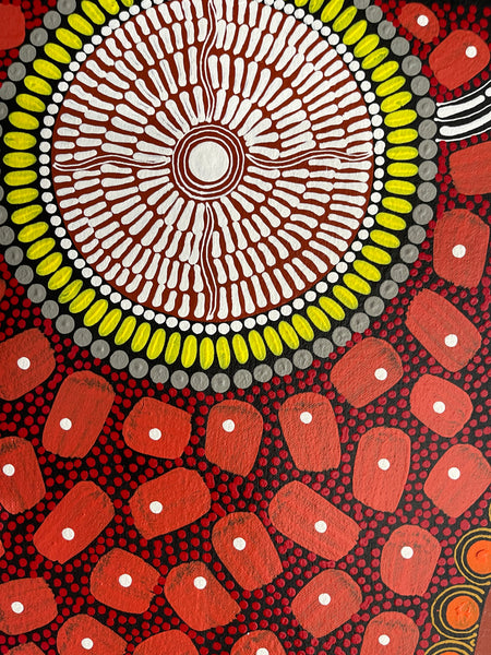 #187 ALIARA BIRD "After the Rain" (Reds) : Aboriginal Art: 74x95cm