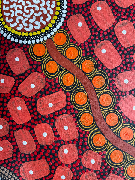 #187 ALIARA BIRD "After the Rain" (Reds) : Aboriginal Art: 74x95cm
