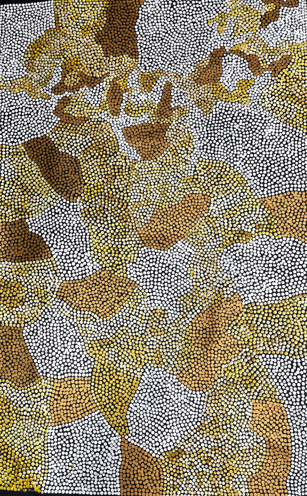 #4 Bush Banana Dreaming (Golds/White) - SHARON BUTCHER 145x95cm