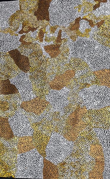 #4 Bush Banana Dreaming (Golds/White) - SHARON BUTCHER 145x95cm
