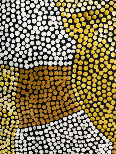 #4 Bush Banana Dreaming (Golds/White) - SHARON BUTCHER 145x95cm