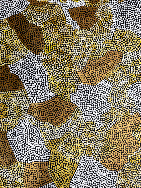 #4 Bush Banana Dreaming (Golds/White) - SHARON BUTCHER 145x95cm