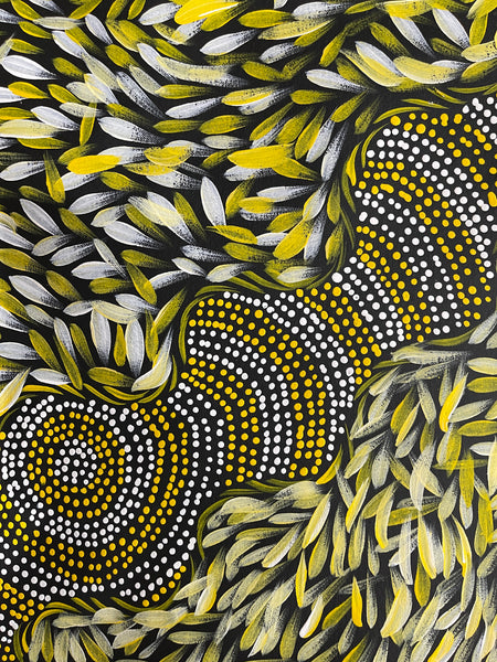 #352 Spinifex Dreaming (Yellows) - Scott Duggie Aboriginal Art: 95cm x 97cm