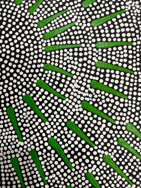# 75 Katrina Napaljarri Spencer - Butterfly Dreaming (Green) 54cm x 36cm