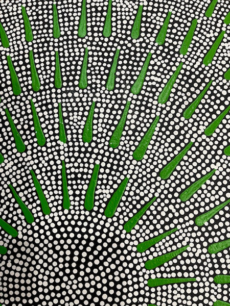 # 75 Katrina Napaljarri Spencer - Butterfly Dreaming (Green) 54cm x 36cm