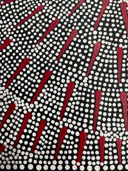 # 227 Katrina Napaljarri Spencer - Butterfly Dreaming (Red) 50cm x 42cm
