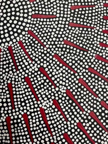 # 227 Katrina Napaljarri Spencer - Butterfly Dreaming (Red) 50cm x 42cm