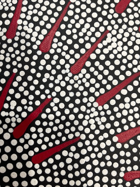 # 227 Katrina Napaljarri Spencer - Butterfly Dreaming (Red) 50cm x 42cm