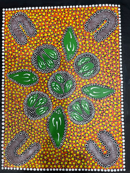 #202 Ceremony - Katrina Napaljarri Spencer: ABORIGINAL ART: 42cm x 32cm
