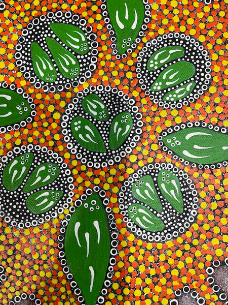 #202 Ceremony - Katrina Napaljarri Spencer: ABORIGINAL ART: 42cm x 32cm
