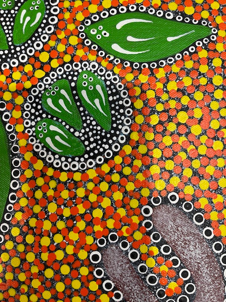 #202 Ceremony - Katrina Napaljarri Spencer: ABORIGINAL ART: 42cm x 32cm