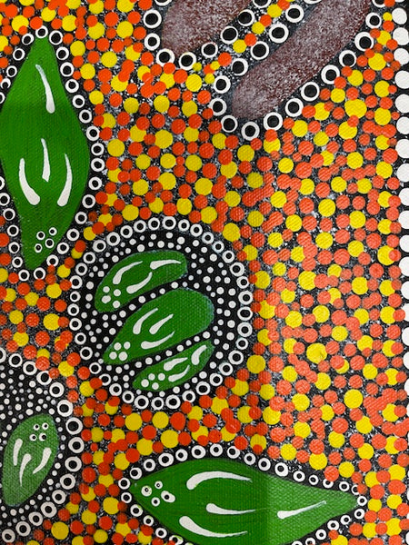 #202 Ceremony - Katrina Napaljarri Spencer: ABORIGINAL ART: 42cm x 32cm