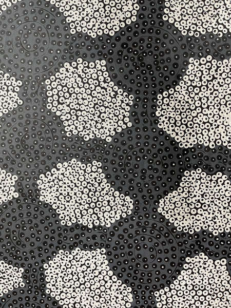 #102 Sugar Bag & Bush Honey Dreaming - JOY NAKAMARRA BRISCOE: Aboriginal Art: 150x95cm