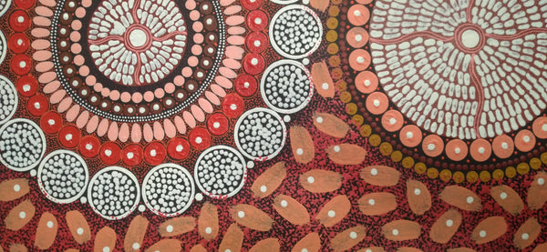 #35 ALIARA BIRD After the Rain (Red) : Aboriginal Art: 55x150cm