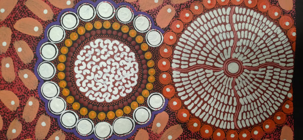#35 ALIARA BIRD After the Rain (Red) : Aboriginal Art: 55x150cm