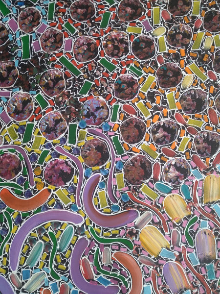 #31 Bush Yam Dreaming (Multi)- RACHAEL NAMBULA: Aboriginal Art 92x200cm