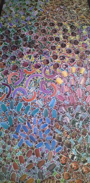 #31 Bush Yam Dreaming (Multi)- RACHAEL NAMBULA: Aboriginal Art 92x200cm