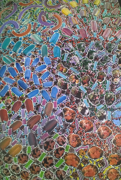 #31 Bush Yam Dreaming (Multi)- RACHAEL NAMBULA: Aboriginal Art 92x200cm