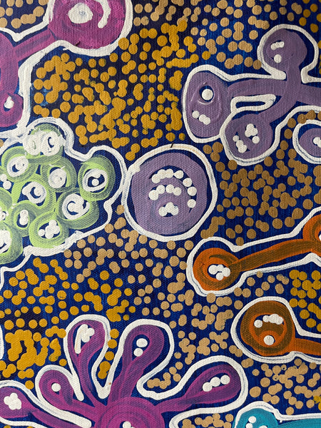 #182 Bush Foods (Multi) MEREDITH CURLEY: Aboriginal Art 152x90cm