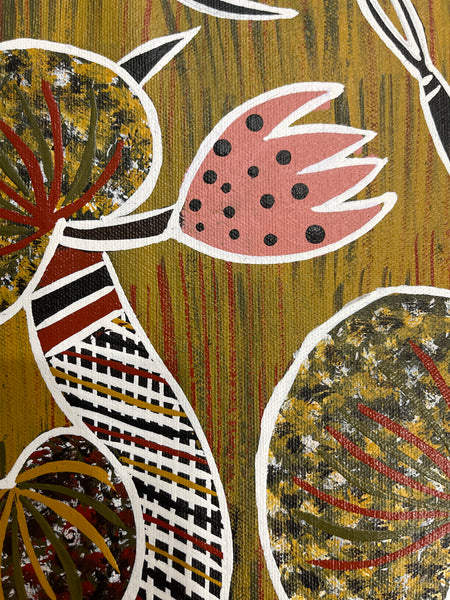 #99 Snake Dreaming - CHRISTINE BURARRWANGA : 56x28cm