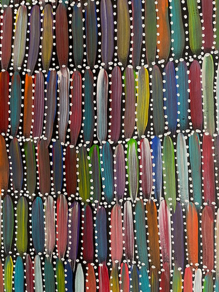 #114 Seeded Bush Yams (multi)- SELINA NUMINA :Aboriginal Art: 89cm x 148cm