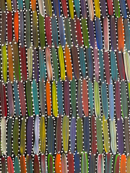 #114 Seeded Bush Yams (multi)- SELINA NUMINA :Aboriginal Art: 89cm x 148cm