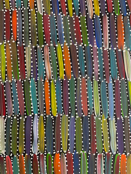 #114 Seeded Bush Yams (multi)- SELINA NUMINA :Aboriginal Art: 89cm x 148cm