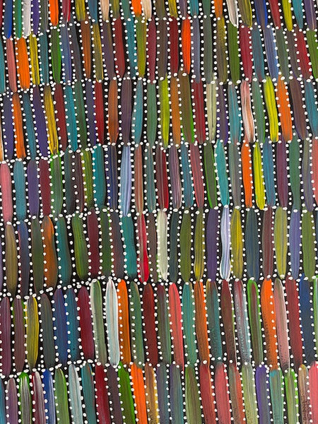 #114 Seeded Bush Yams (multi)- SELINA NUMINA :Aboriginal Art: 89cm x 148cm