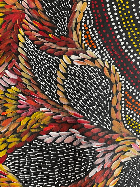 #169 Waterholes & Bush Medicine Leaves (Sunset)  - Scott Duggie Aboriginal Art: 90cm x 147cm