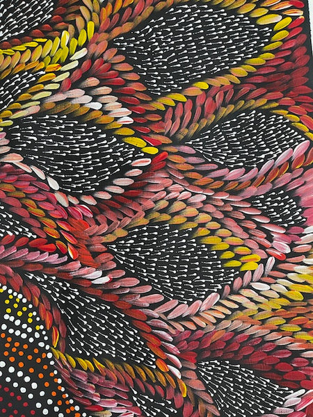 #169 Waterholes & Bush Medicine Leaves (Sunset)  - Scott Duggie Aboriginal Art: 90cm x 147cm