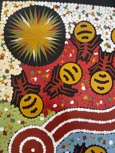 #211 Honey Ant Dreaming - JONATHAN HOCKLEY - Aboriginal Art: 26x34cm
