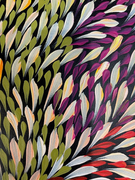 #25 Bush Medicine Leaves (Multi) - CAROLINE NUMINA : Aboriginal Art:  37cm x 27cm
