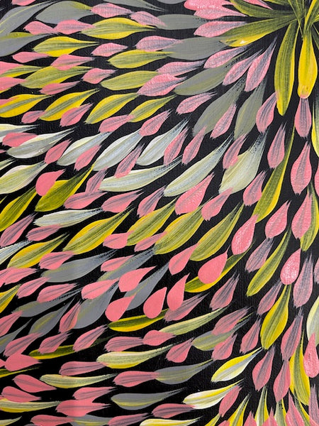 #17 Bush Medicine Leaves (Multi) - CAROLINE NUMINA : Aboriginal Art:  37cm x 27cm