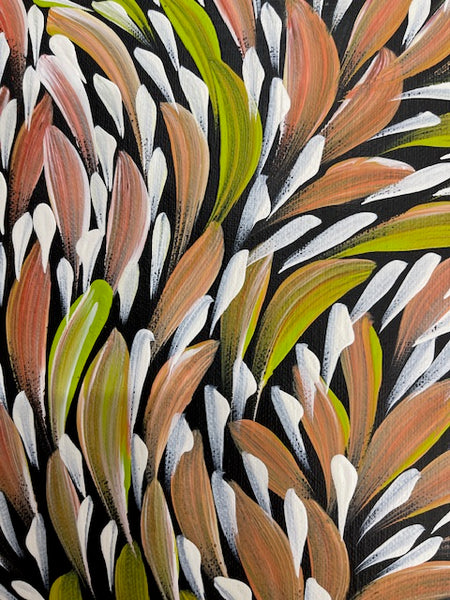 #395  Bush Medicine Leaves (Multi) - CAROLINE NUMINA : Aboriginal Art:  37cm x 27cm