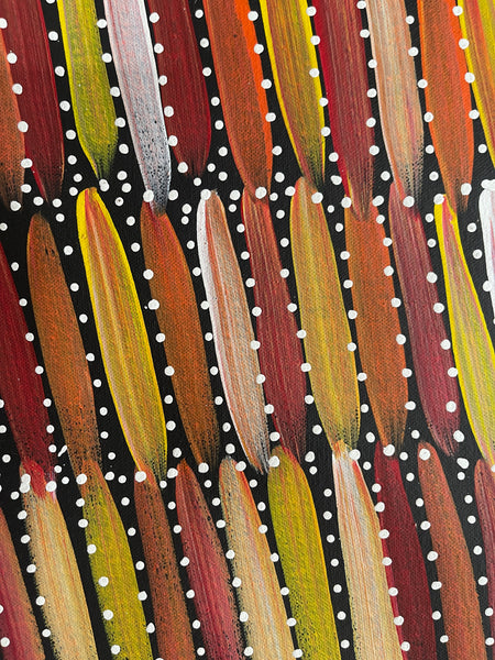 #263 Seeded Bush Yams (Sunset)- SELINA NUMINA :Aboriginal Art: 200x90cm