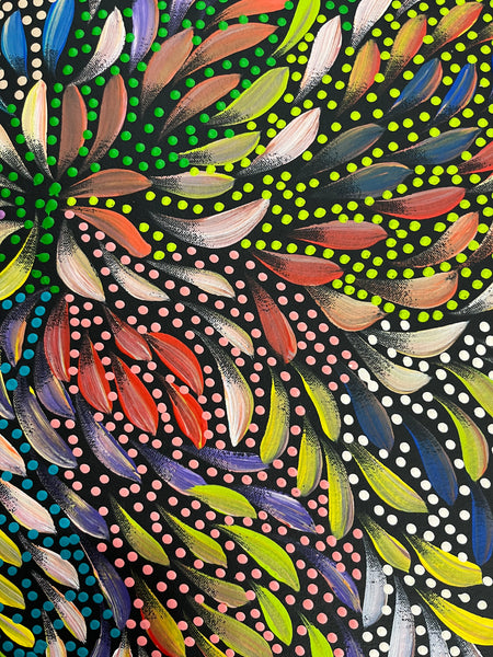 #279 Bush Medicine Leaves and Seeds (Multi) - CAROLINE NUMINA : Aboriginal Art: 59 x 60cm
