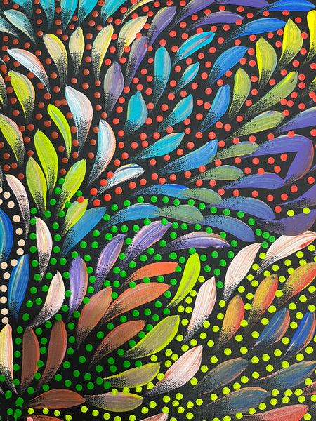 #279 Bush Medicine Leaves and Seeds (Multi) - CAROLINE NUMINA : Aboriginal Art: 59 x 60cm