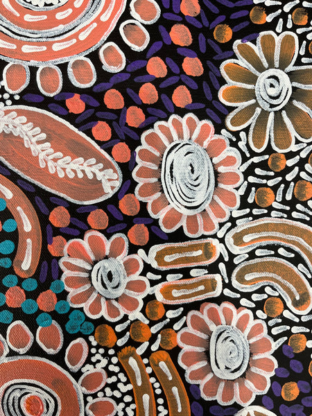 #301 Woman's Ceremony (Pastels) - JESSIE BIRD NGALE  : Aboriginal Art: 35cm x 50cm