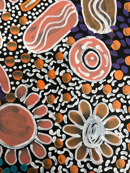 #301 Woman's Ceremony (Pastels) - JESSIE BIRD NGALE  : Aboriginal Art: 35cm x 50cm