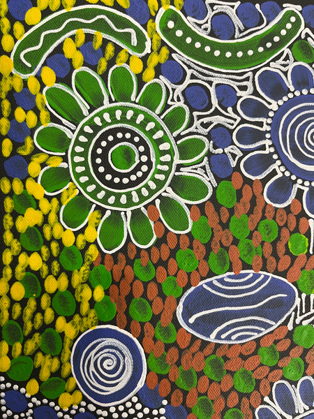 #37 Woman's Ceremony (blue green) - JESSIE BIRD NGALE  : Aboriginal Art: 36cm x 50cm