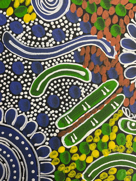 #37 Woman's Ceremony (blue green) - JESSIE BIRD NGALE  : Aboriginal Art: 36cm x 50cm