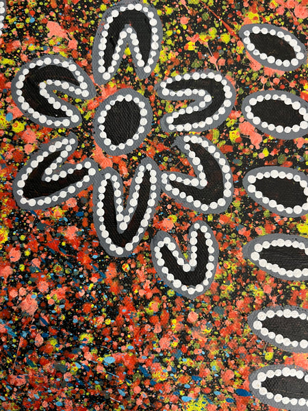 #204 Seven Sisters Dreaming (Multi) - REGGIE SULTAN Desert Art:  68cm x 43cm